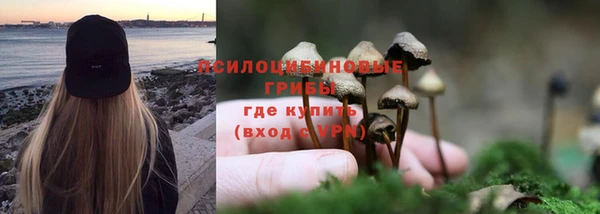 spice Абинск