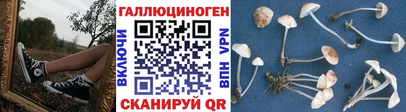 Псилоцибиновые грибы прущие грибы Правдинск